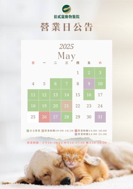 螢幕擷取畫面 2025-04-28 133916