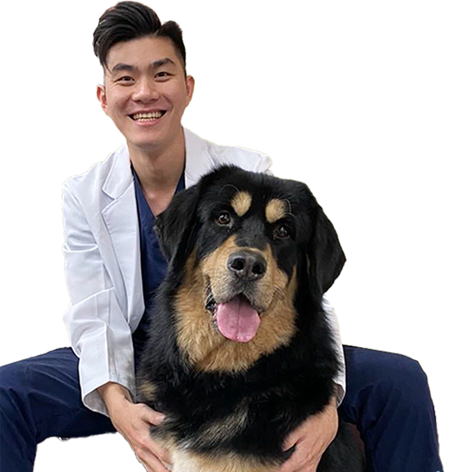 邱醫師照片去背